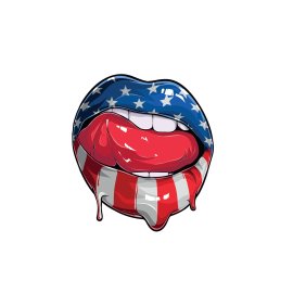 American flag painted lips vector
