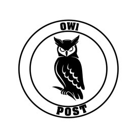 Harry potter owl post vector