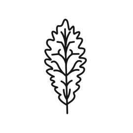 Leaves simple vector png