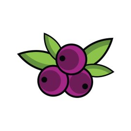 Purple acai fruit png vector cartoon style