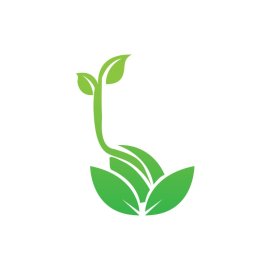 Seed Germination PNG Green Leaves Vector