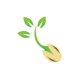 Green Seeed PNG Kernal Cartoon Vector