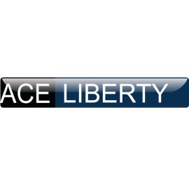 ACE LIBERTY modern wordmark | Sleek rectangular business logo 