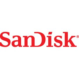 SanDisk Wordmark Logo | Iconic Red SanDisk Branding 