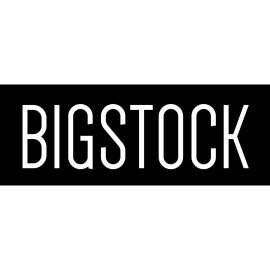 Bigstock minimalist wordmark logo | Bold black and white Bigstock branding 