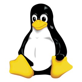Linux Tux Logo Vector Png | Friendly Penguin Mascot Illustration 