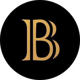 Blackcoin BLK Logo Vector PNG | Minimalist Blackcoin cryptocurrency emblem 