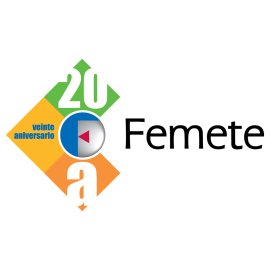 Femete 20th Anniversary Logo | Modern Corporate Emblem for Femete 