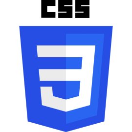 Official CSS3 shield emblem | Modern web styling language insignia 