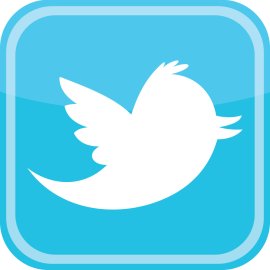 Twitter Bird Icon Logo Vector PNG | Minimalist Social Media Bird Emblem 