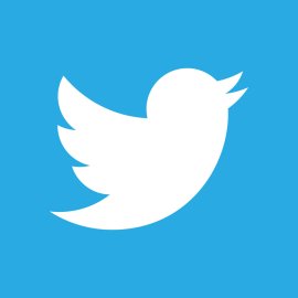 Twitter012 Negative Logo Vector Png | Minimalist white bird icon on blue background 