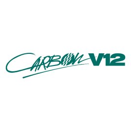 Carbon V12 Logo Vector PNG | Carbon V12 Signature Wordmark 