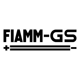 Fiamm Gs Logo Png | Fiamm Gs Logo Vector 