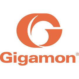 Gigamon Logo Png | Gigamon Logo Vector 