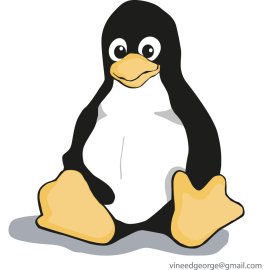 Linux Logo Png | Linux Logo Vector 