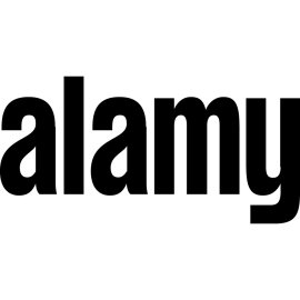 Alamy Logo Vector PNG | Minimalist black wordmark for Alamy stock photography brand 
