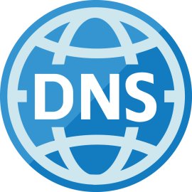 Dns Logo Png | Dns Logo Vector 