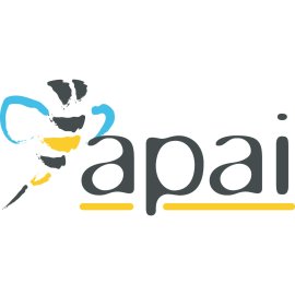 Apai Logo Vector PNG | Modern Apai Brand Emblem 