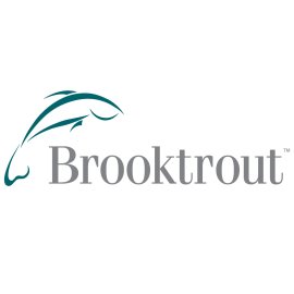 Brooktrout Technology Logo Vector PNG | Minimalist trout line-art emblem 