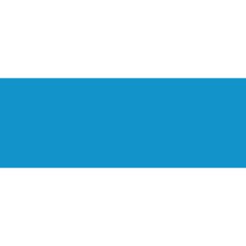 Crucial Logo Png | Crucial Logo Vector 