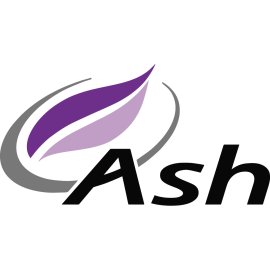 Ash Vision Logo Vector PNG | Modern Ash Wordmark and Leaf Symbol 