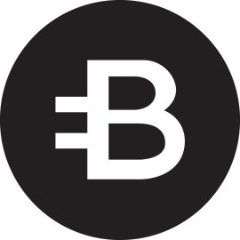 Bytecoin BCN Logo Vector PNG | Minimalist Cryptocurrency Emblem 