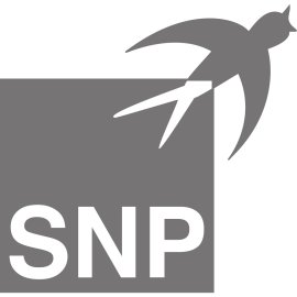 Snp Se Logo Png | Snp Se Logo Vector 