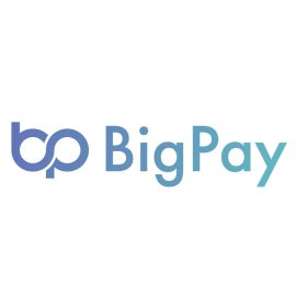Big Pay Logo Png | Big Pay Logo Vector | Big Pay | Bold Finance | Instant Trust | Dynamic Growth