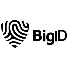 Bigid Logo Png | Bigid Logo Vector | Bigid: Bold Identity | Infinite Scale | Digital Frontier | Brand Evolution
