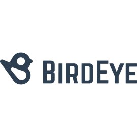 Birdeye Logo Png | Birdeye Logo Vector | Birdeye Logo Design | Aerial Vision Brand | Precision & Clarity | Modern Business Identity