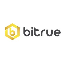 Bitrue Logo Png | Bitrue Logo Vector | Digital Horizon  Unlocking Crypto Potential  The Bull of True Finance  Bitrue Identity