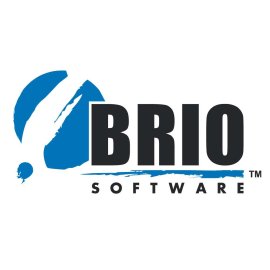 Brio Software Logo Png | Brio Software Logo Vector | Brio Software Logo | Dynamic Tech Brand | Vibrant Innovation | Modern Identity