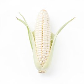 Corn White Realistic Isolated PNG Object Transparent