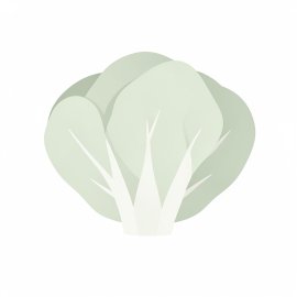 Elegant White Cabbage Flat Vector White Background PNG