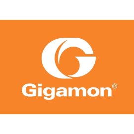 Gigamon Logo Png | Gigamon Logo Vector | Data Streams Unite | The Network's Extended Eyes | Gigamon