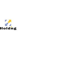 Holding Marketing Logo Png | Holding Marketing Logo Vector | Holding Marketing | Brand Identity | Strategic Growth | Visual Trust