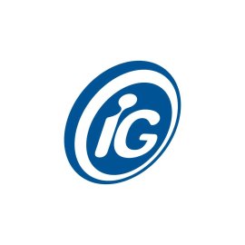 Ig Internet Group Logo Png | Ig Internet Group Logo Vector | Connected Horizons  Digital Bridges  The Ig Internet Group Mark  Infinite Reach