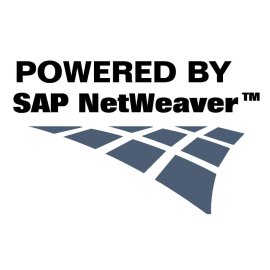 Netweaver Logo Png | Netweaver Logo Vector | Interwoven Intelligence | Digital Genesis | The Architect of Connection