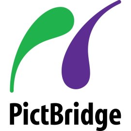Pict Bridge Logo Png | Pict Bridge Logo Vector | Pict Bridge: Connecting Visions, Building Stories, Framing Worlds