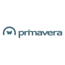 Primavera Logo Png | Primavera Logo Vector | Primavera Logo | Spring Blossom Emblem | Vibrant Nature Identity | Fresh Growth Symbol