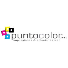 Punto Color Logo Png | Punto Color Logo Vector | Punto Color Logo | Vibrant Dot Design | Creative Brand Identity | Colorful Minimalism