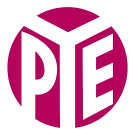 Pye Logo Png | Pye Logo Vector | Pye: Precision | Innovation | Simplicity | Vision
