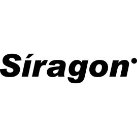 Saragon Logo Png | Saragon Logo Vector | Sovereign Ascent  Radiant Aegis  Celestial Forge  Saragon