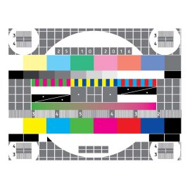 Secam Ussr Resolution Chart Logo Png | Secam Ussr Resolution Chart Logo Vector | Soviet Signal Decoder | Analog Ghost in the Machine | Secam USSR Resolution Chart | Cold War Visual Artifact