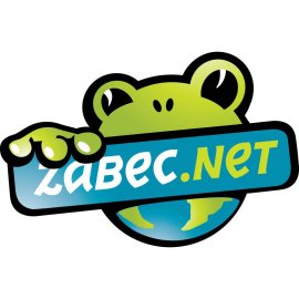 Zabec Net Logo Png | Zabec Net Logo Vector | Zabec Net: Connectivity Redefined | Digital Horizons | The Network of Tomorrow