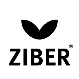 Ziber Logo Png | Ziber Logo Vector | Ziber | Futuristic Connectivity | Dynamic Digital Pulse | Infinite Reach